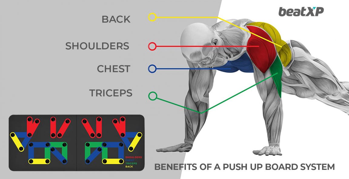Tabla de flexiones multifuncional con asas - Push Up Multi Board MASTER